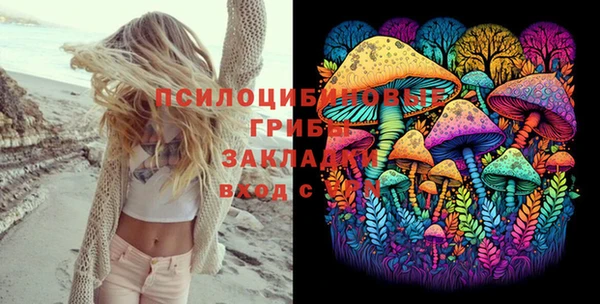 МДПВ Елизово