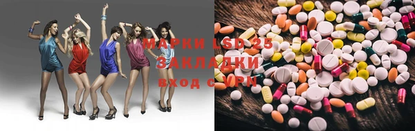 гашик Ельня