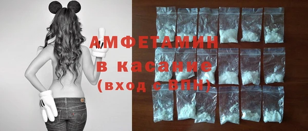 ПСИЛОЦИБИНОВЫЕ ГРИБЫ Заволжье