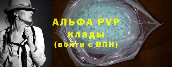 гашик Ельня