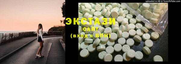 гашик Ельня