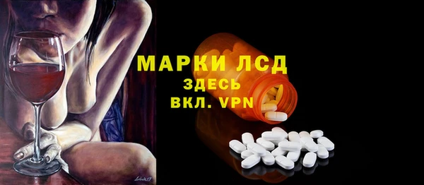СК Елабуга