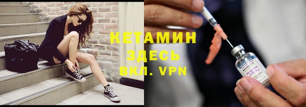стафф Дмитров