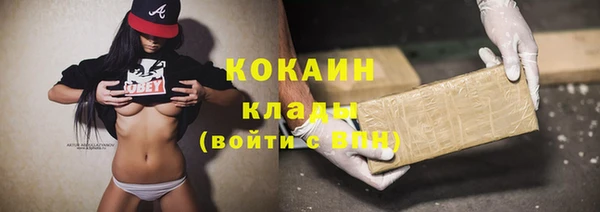 стаф Заводоуковск