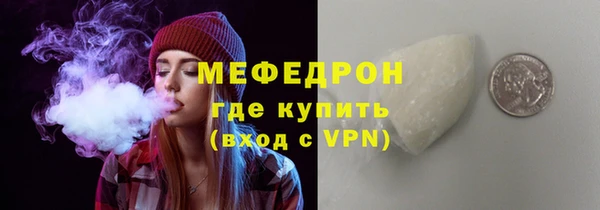гашик Ельня