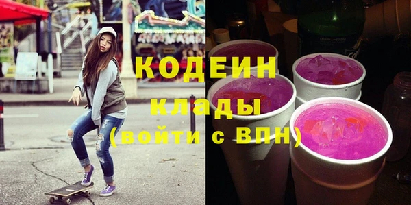 гашик Ельня