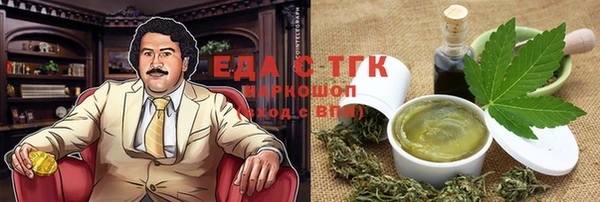 гашик Ельня