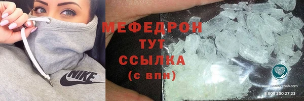 гашик Ельня