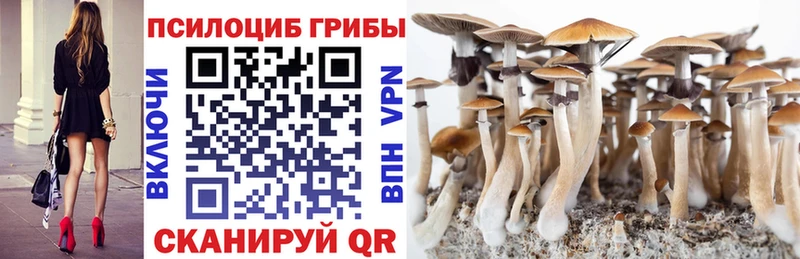 Галлюциногенные грибы мицелий  Купить где  Полевской 